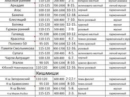 Саженцы винограда