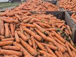 Сельскохозяйственная продукция - фото 2