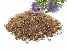 Семена Фацелии