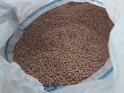 Семена гороха посевного Астронавт 1 репродукция