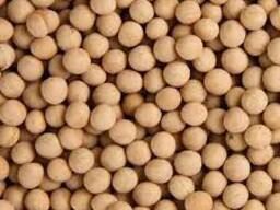 Семена Гороха сорт Саламанка 2 репродукции