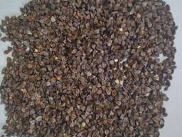 Семена гречихи (дикуль,2ая репродукция)