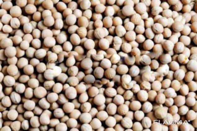 Семена люпина узколистного