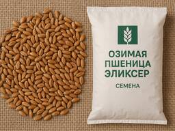 Семена озимой пшеницы Эликсер (Германия), Супер Элита Протравленные — Высокий урожай!
