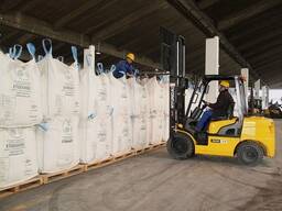 Семена пшеницы яровой