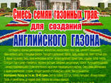 Семена: Смесь семян газонных трав "Для создания английского газона", 15 кг. , "VDV Seeds" - фото 2
