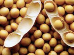 Семена сои сорт Припять