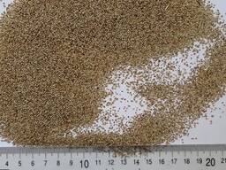 Семена овсяницы красной элита, райграса пастбищного , райграса однолетнего