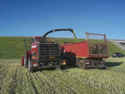 Сенаж/силос