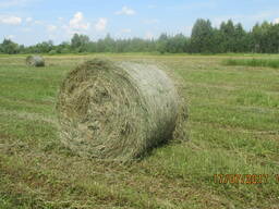 Продам Сено рулон 500 кг