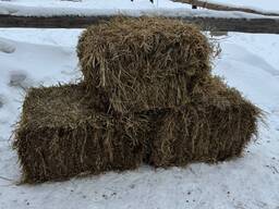 Сено в тюках