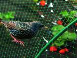 Garden nets, antibird - фото 4