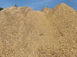 Щепа хвойных пород