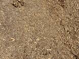Щепа хвойных пород - фото 2