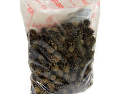 Шишки еловые, сосновые , кора , мох .