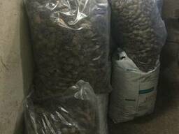 Шишки сосновые для ландшафтного дизайна