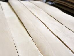 Шпон Бука 0,6мм