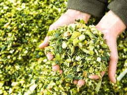 Силос кукурузный