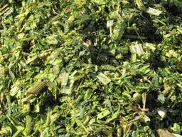 Силос кукурузный