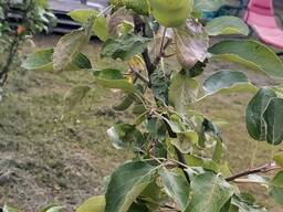 Складское помещение