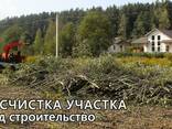 Спилим дерево в Беларуси. Спил деревьев. - фото 1