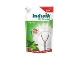 Средство для мытья посуды "Ludwik" мята саше 500г.