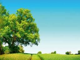 Стеновая панель (Скиналь) на МДФ R-46