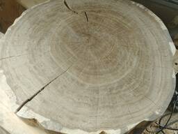 Столешница дубовая, спил дубовый