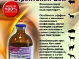 СтрептопенБел (Streptopenum Bel) - фото 1