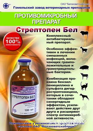 СтрептопенБел (Streptopenum Bel)