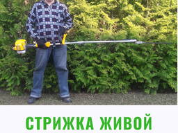 Стрижка живой изгороди, стрижка туй