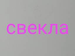 Свекла