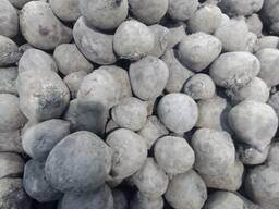 Свекла столовая оптом