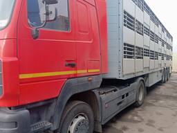 Скотовоз. Свиновоз трёхъярусный. Доставка скота.