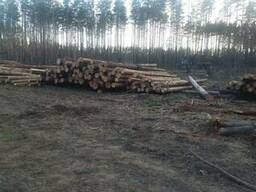 Техсырьё