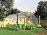 Теплицы 4, 6, 8, 10 метров - профиль 20х20 - 0,67 шаг - фото 3