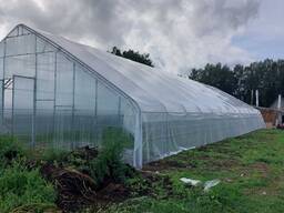 Теплицы