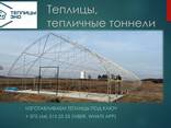 Теплицы, туннели - фото 1
