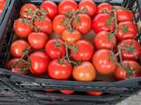 Томат Туркменистан - фото 3