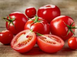 Томаты (помидоры свежие) стандарт /нестандарт