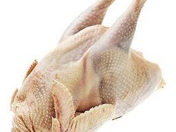 Тушка курицы несушки 2 сорт (нестандарт)