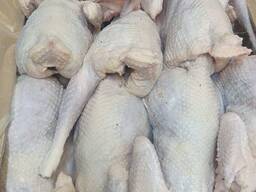 Тушка курицы несушки