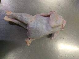 Тушка курицы несушки (суповая)