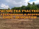 Уборка участка в Беларуси. - фото 2