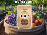 Удобрение гранулированное КГУ 2 в пакете 1,5 л - фото 1