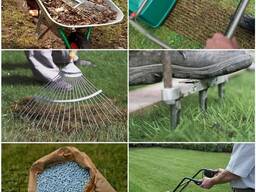 Уход за газоном. Обслуживание газона.