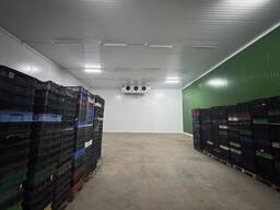 Услуга ответственного хранения , камеры морозильного хранения