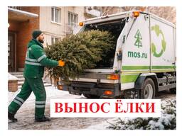 Услуга по выносу новогодней ёлки в Гомеле – удобное решение!