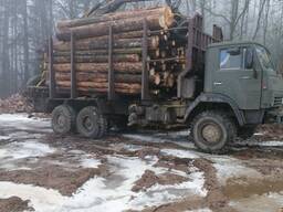 Услуги лесовоза