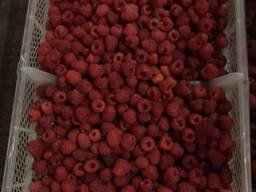 Услуги шоковой заморозки и хранению продукции